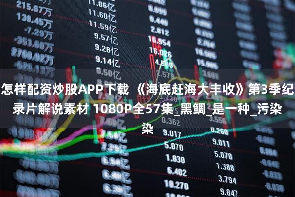 怎样配资炒股APP下载 《海底赶海大丰收》第3季纪录片解说素材 1080P全57集_黑鲷_是一种_污染