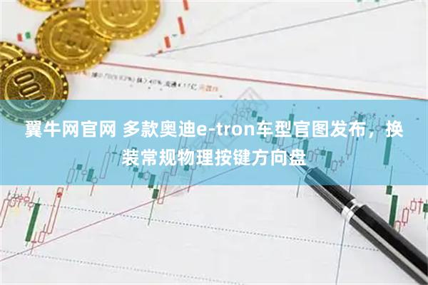 翼牛网官网 多款奥迪e-tron车型官图发布，换装常规物理按键方向盘