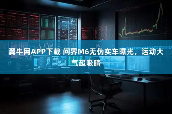 翼牛网APP下载 问界M6无伪实车曝光，运动大气超吸睛