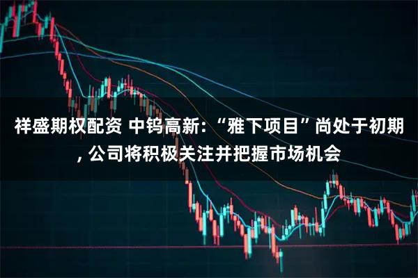 祥盛期权配资 中钨高新: “雅下项目”尚处于初期, 公司将积极关注并把握市场机会