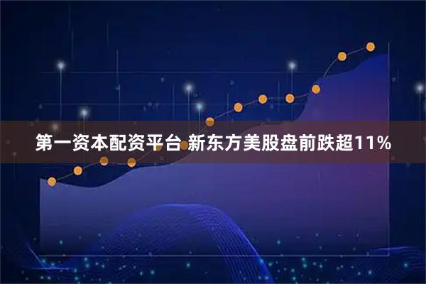 第一资本配资平台 新东方美股盘前跌超11%